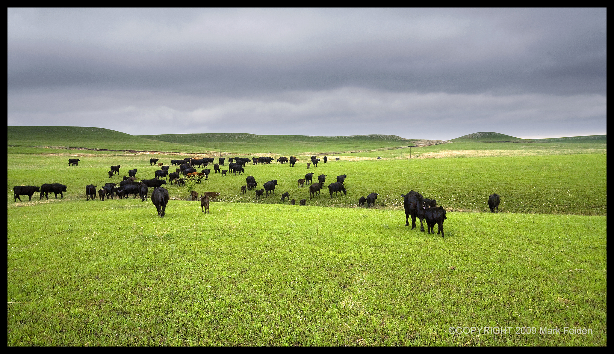 01-145 Farmer Township Pasture