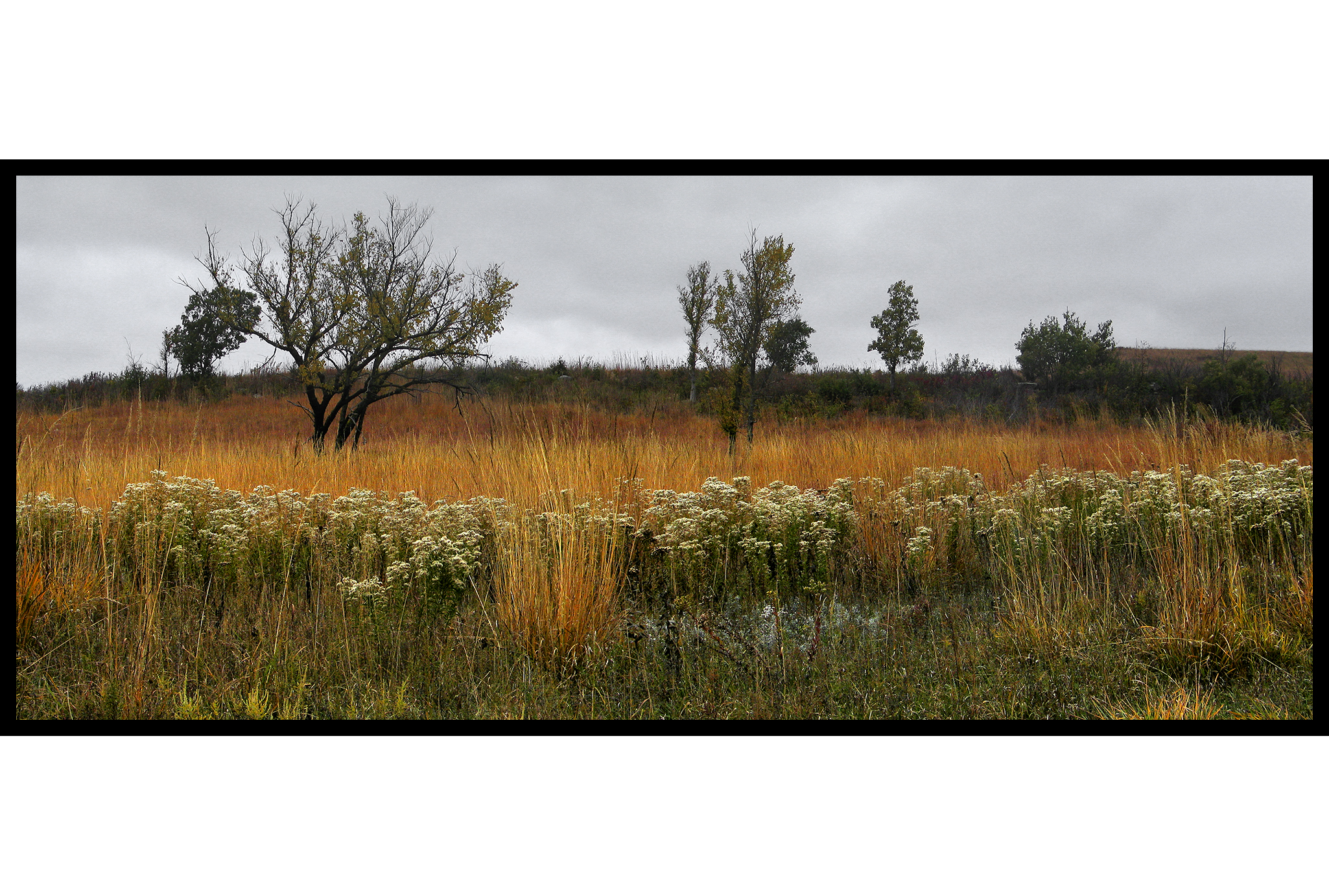01-004 Fall on the Konza Prairie