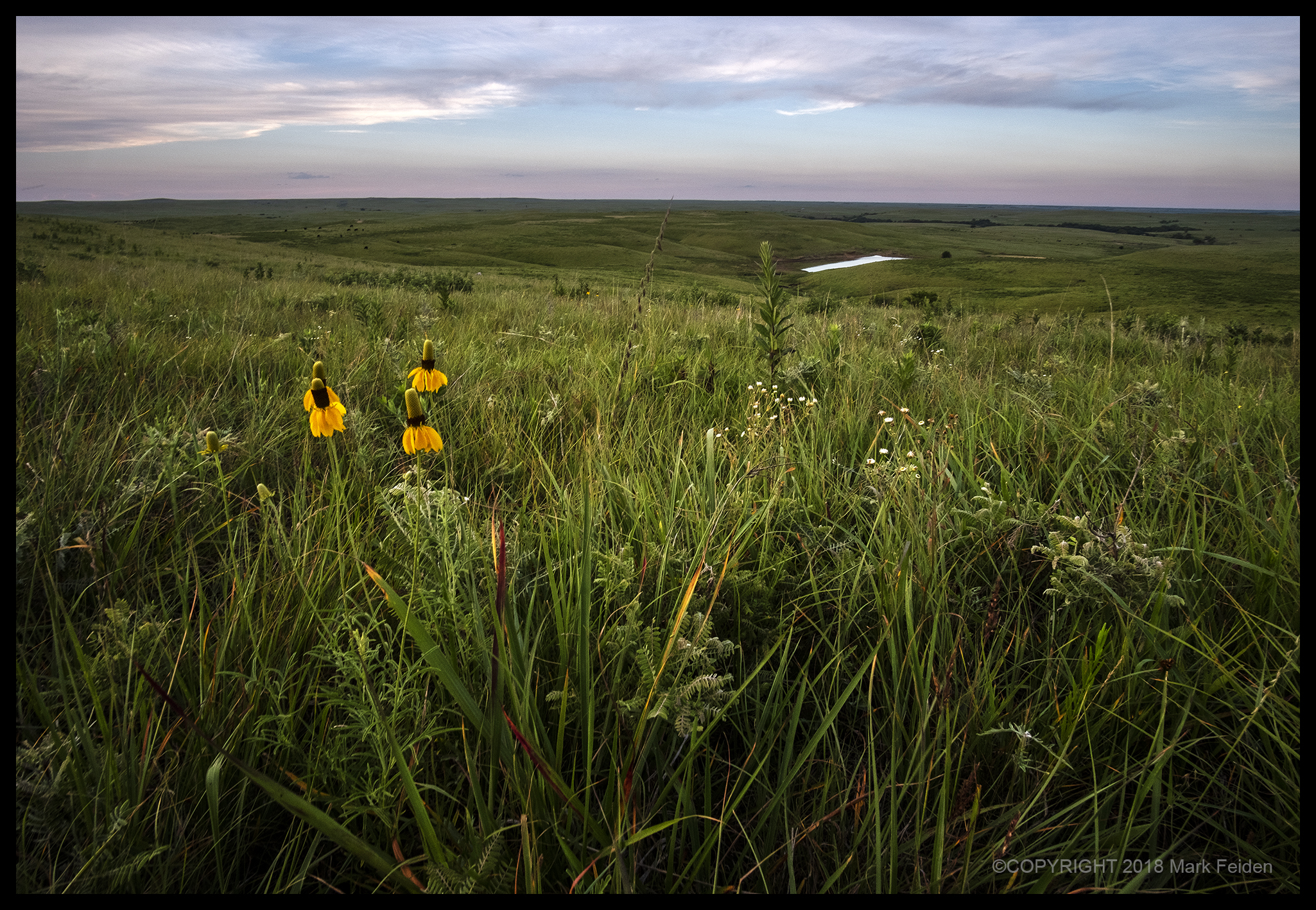 01-068 Flint Hills Evening II