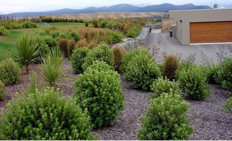 Home Garden 5.JPG
