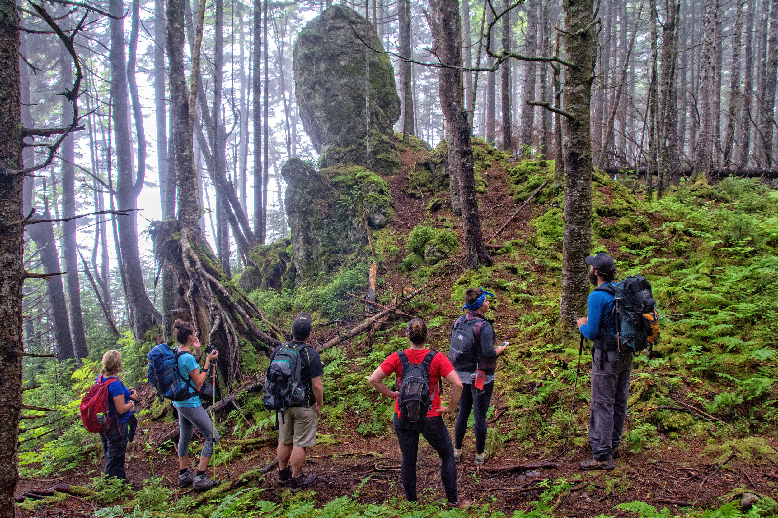 Hiking tours