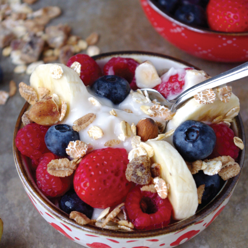 muesli_lead_photo.png