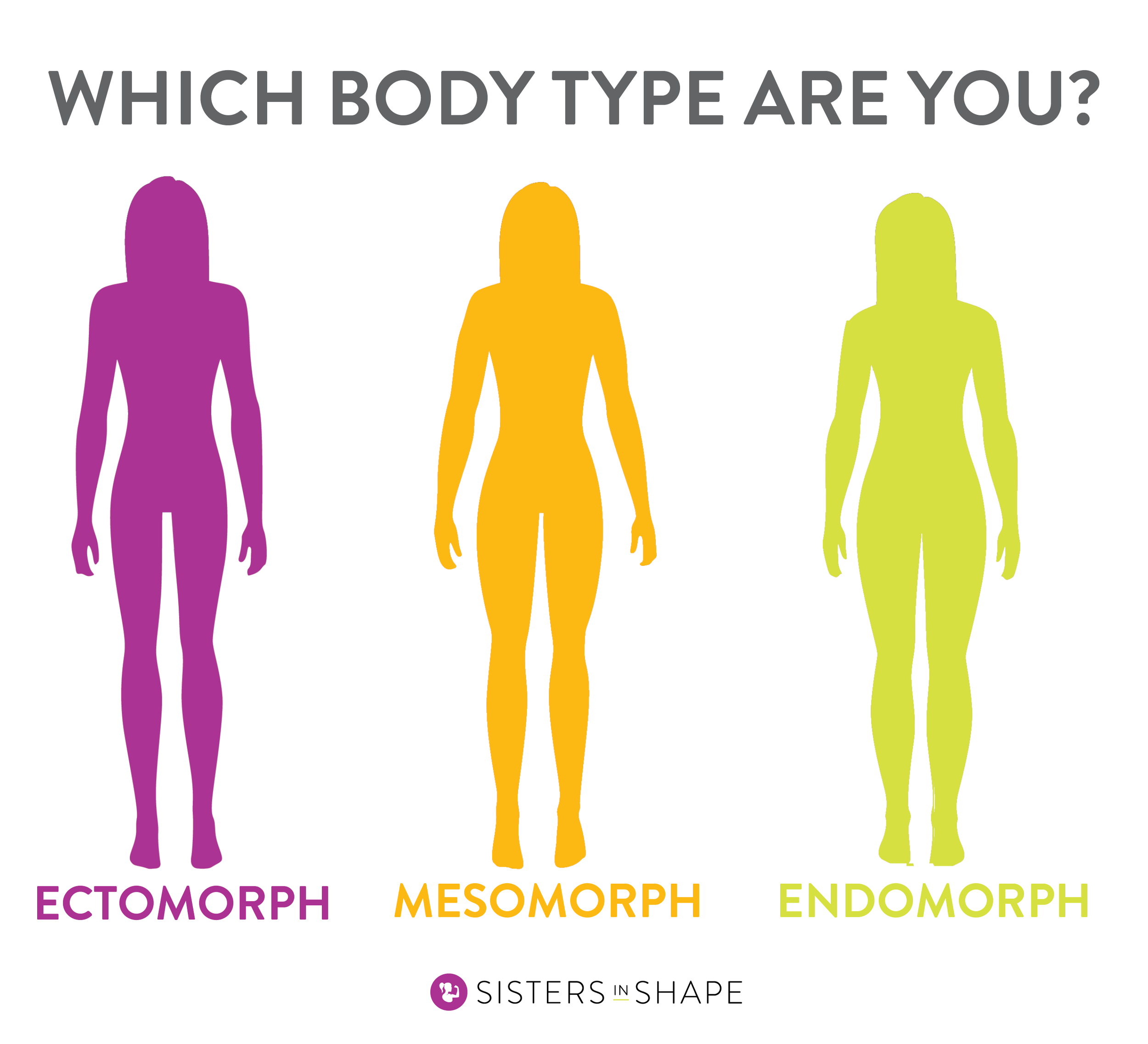 Ectomorph, Mesomorph, and Endomorph Body Types - CircleDNA