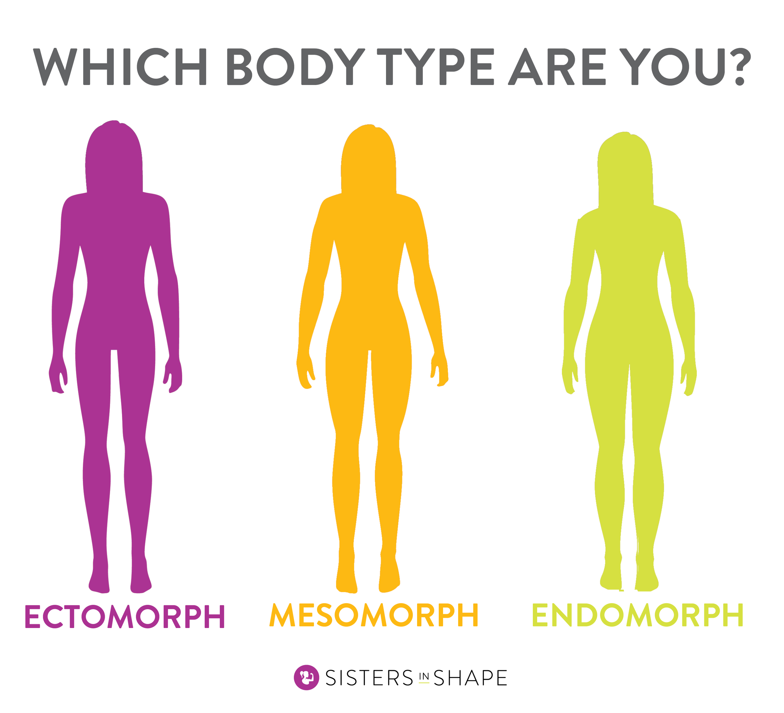 body types ectomorph mesomorph endomorph