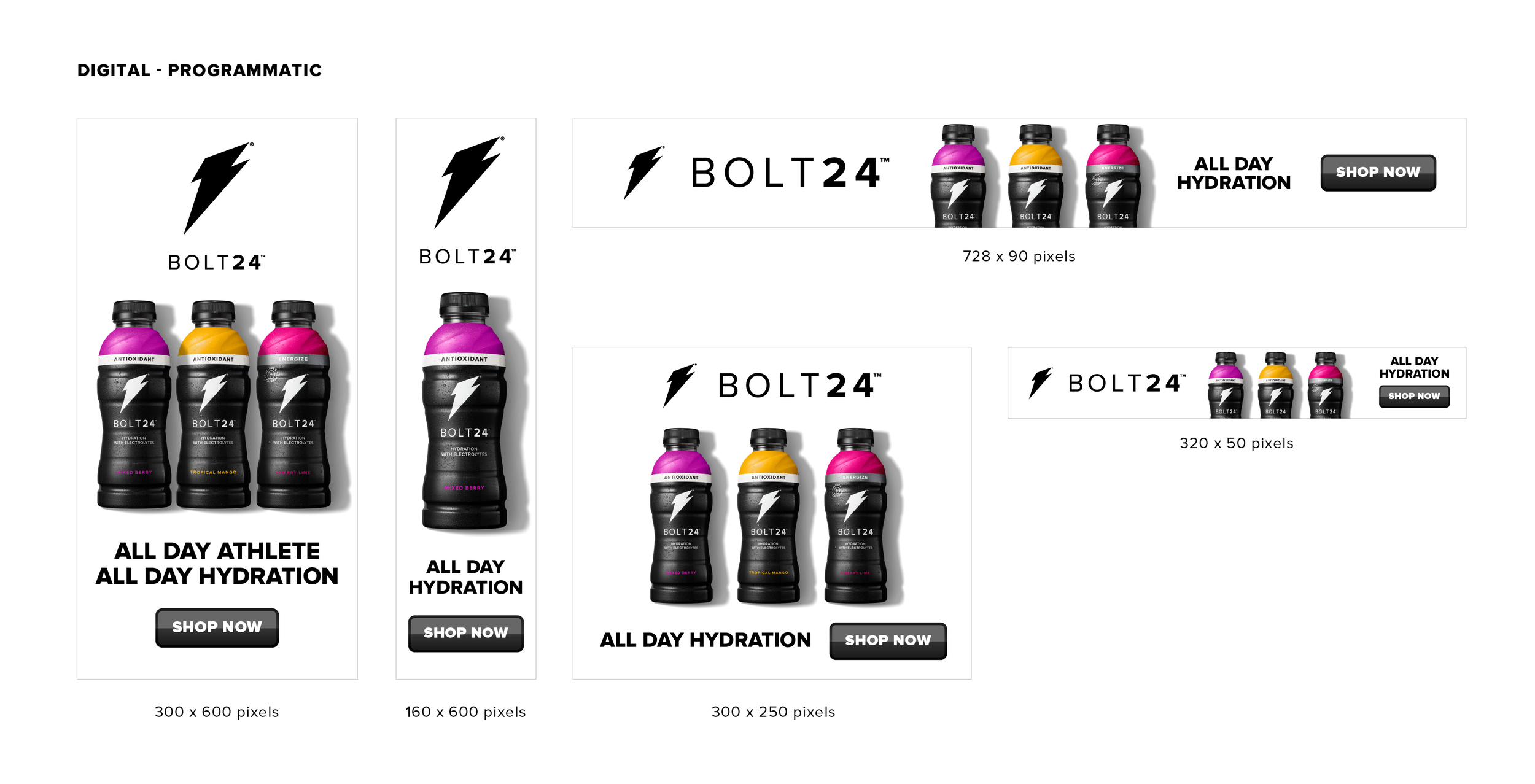 B24-Integrated Campaign_Programmatic.png