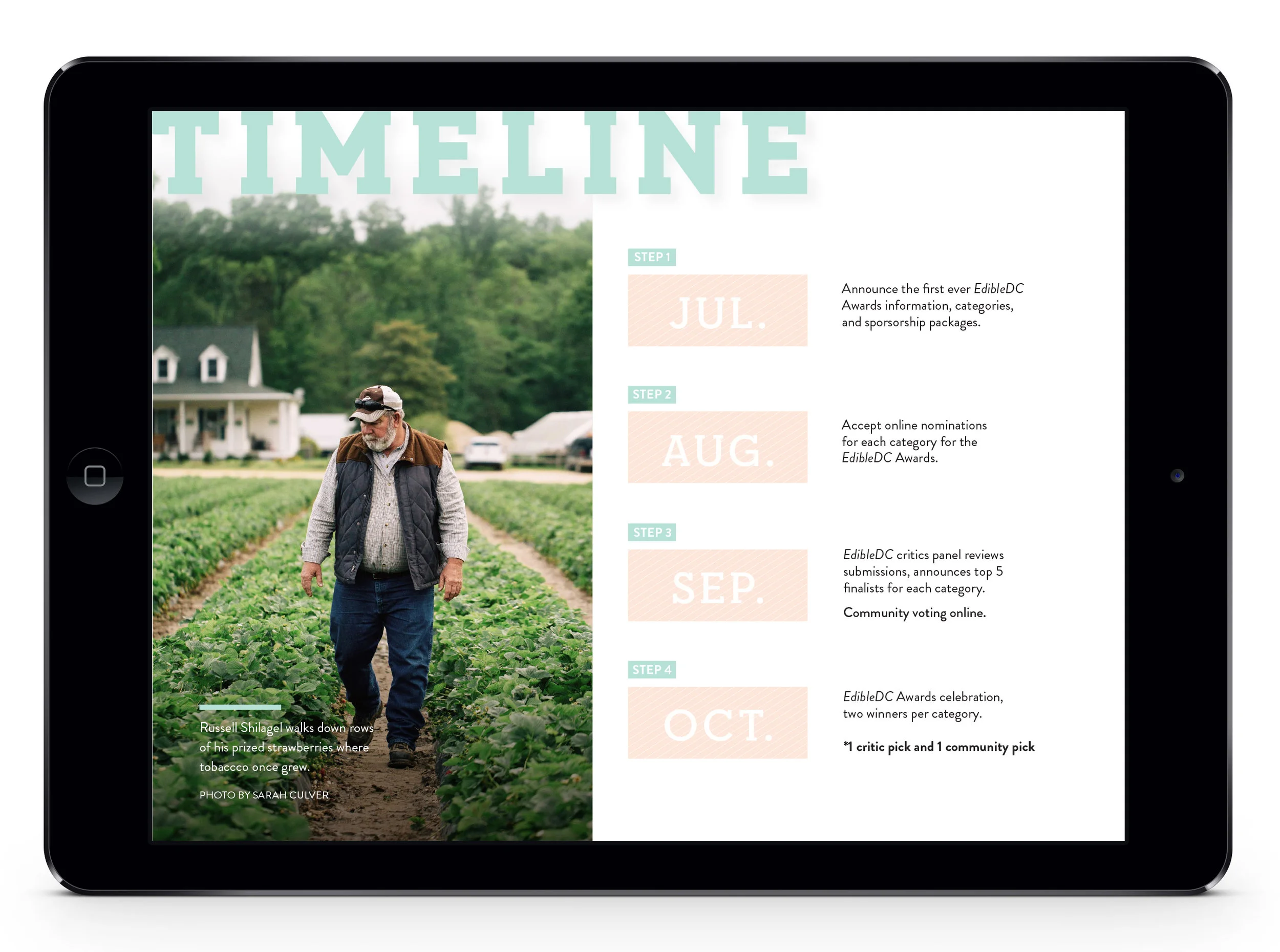 02-iPad-Air-Landscape-Mock-up3.jpg