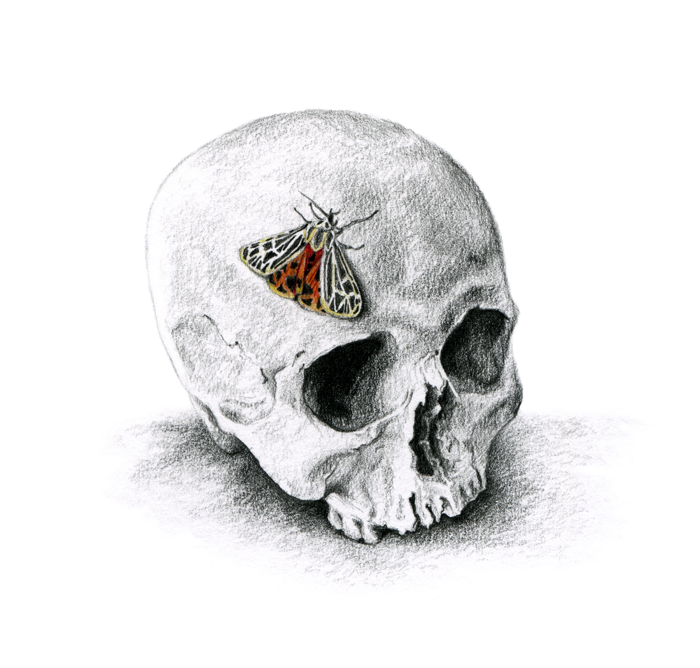 2017 graphite and colored pencil on paper 9"x9"