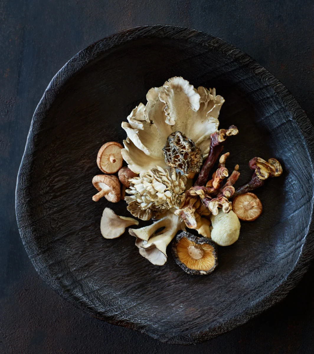 The Healing Powers of Medicinal Mushrooms