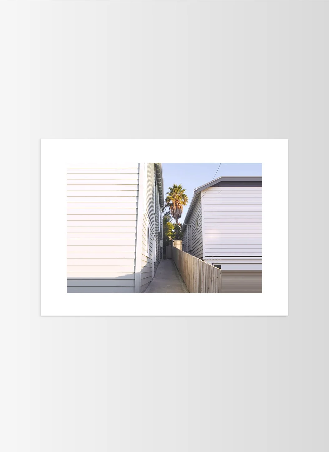 NZ 1 white frame.jpg