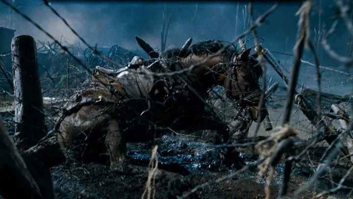 war horse nml.jpg