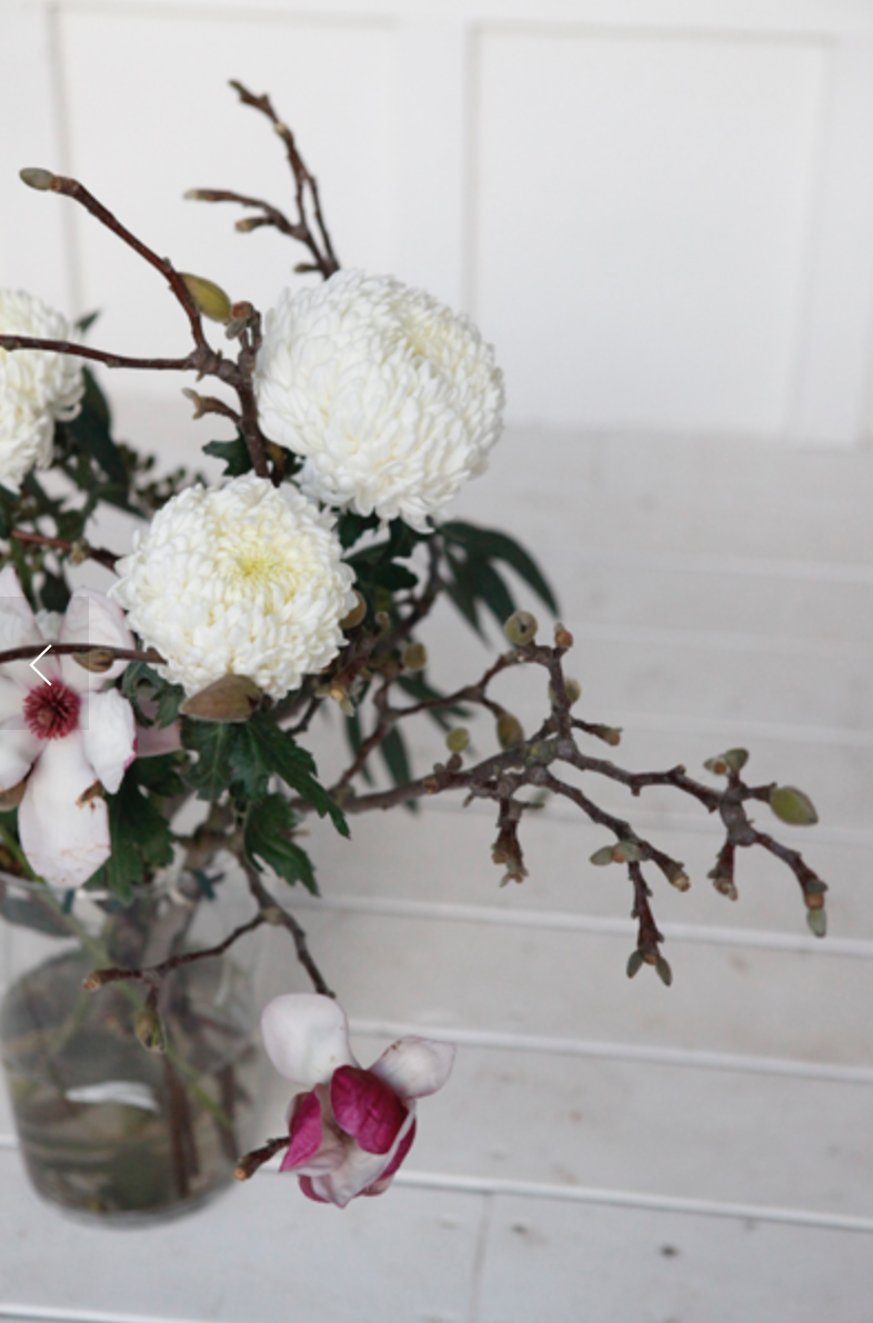 Screen Shot 2017-04-17 at 12.37.38 AM.png