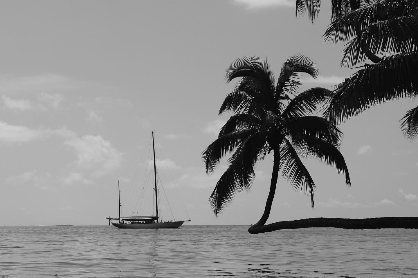 some moments captured in tahiti on my dslr&hellip; tahitian foliage is unmatched