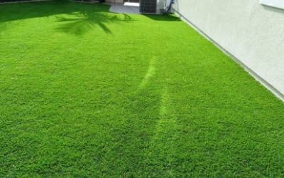 Artificial Turf