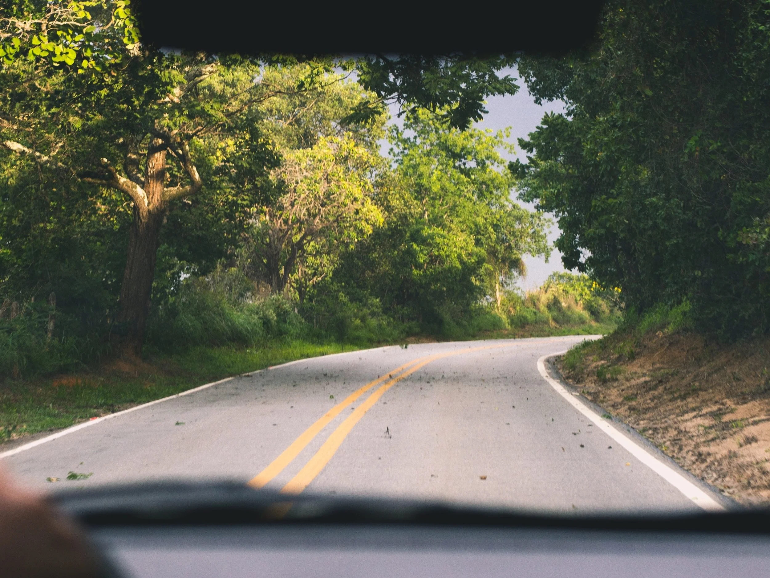 Photo by Nathalia Segato on Unsplash