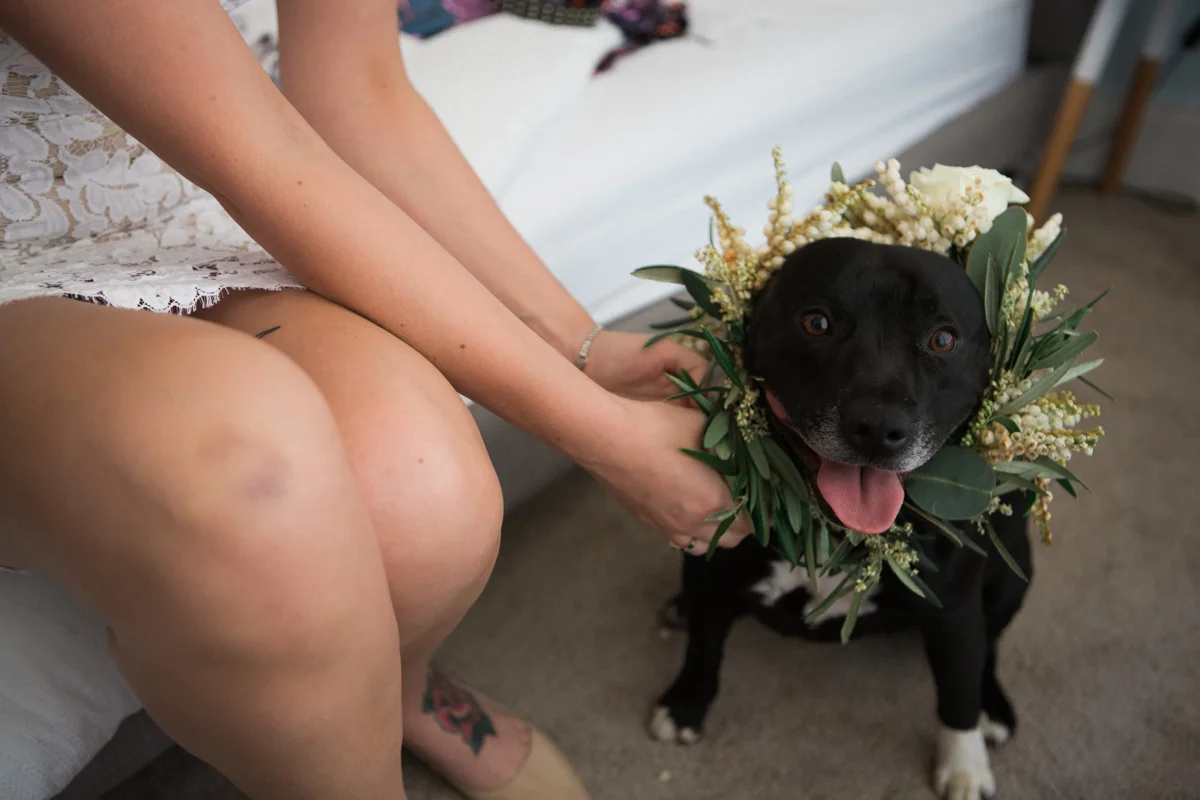 rachael-michael-alex-kwong-wedding-photography-adelaide-south-australia-willunga-russells-pizza-99.jpg