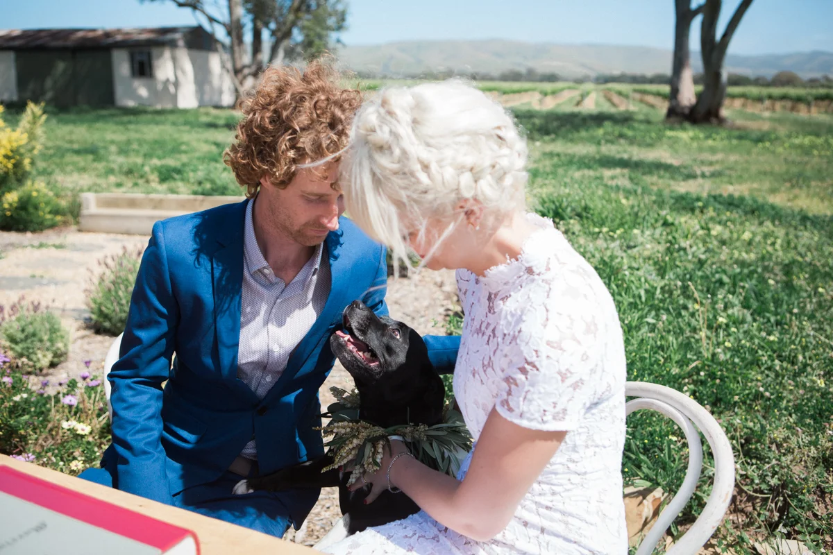 rachael-michael-alex-kwong-wedding-photography-adelaide-south-australia-willunga-russells-pizza-137.jpg