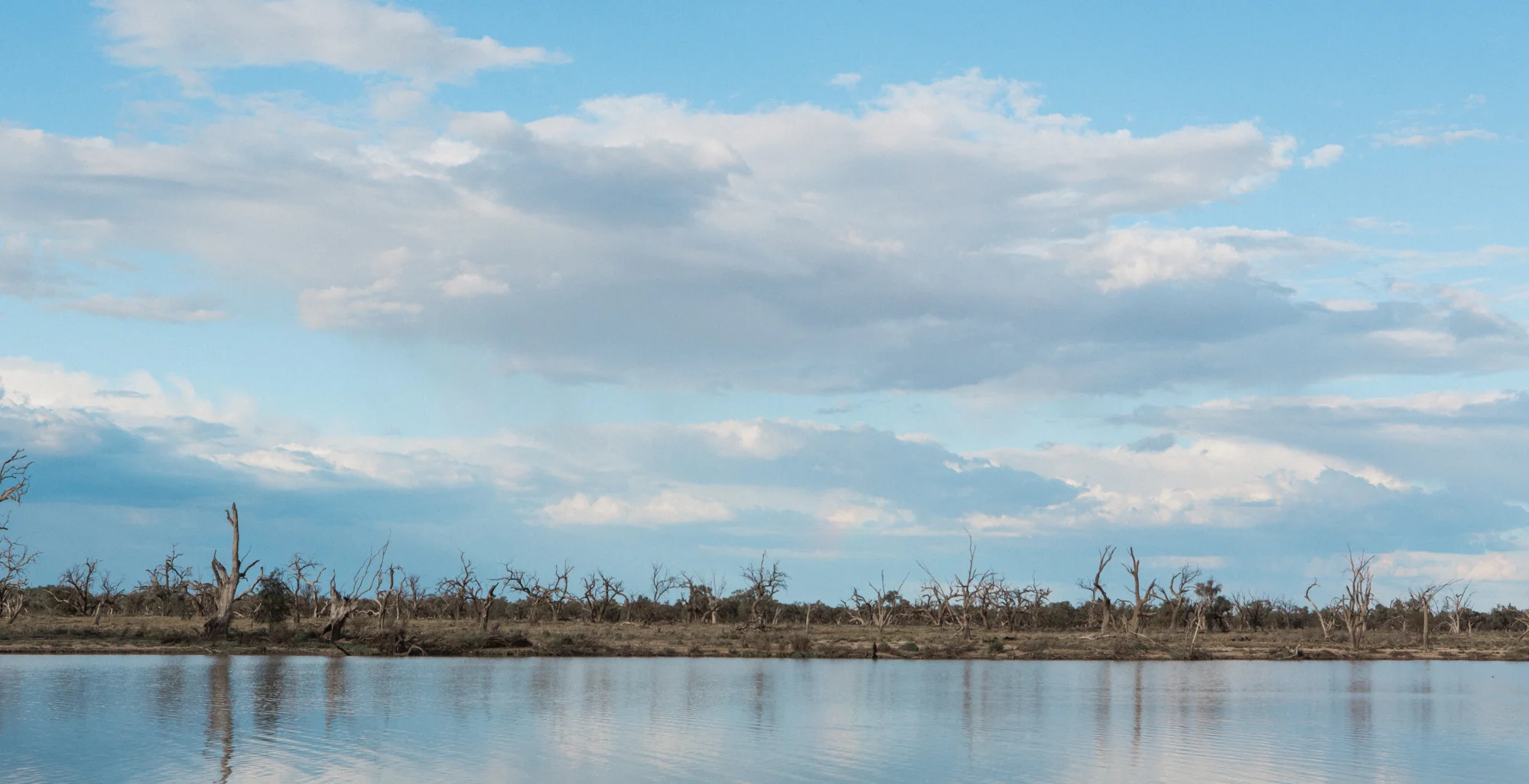 michaela-brad-alex-kwong-wedding-photography-adelaide-south-australia-riverland-1.jpg
