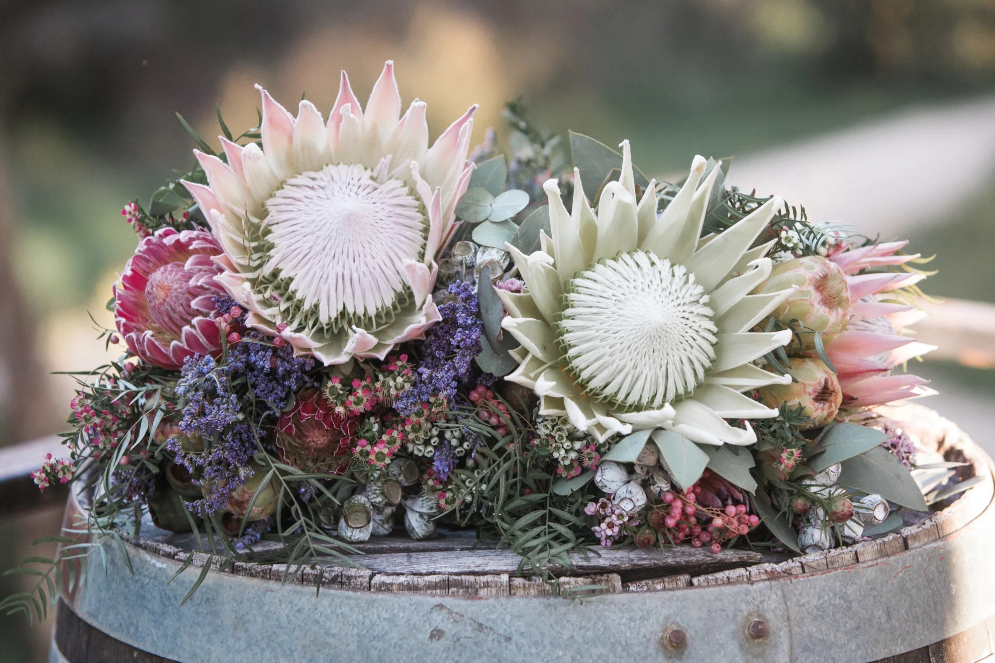hayley-sonja-alex-kwong-wedding-photography-adelaide-south-australia-sinclairs-gully-norton-summit-226.jpg