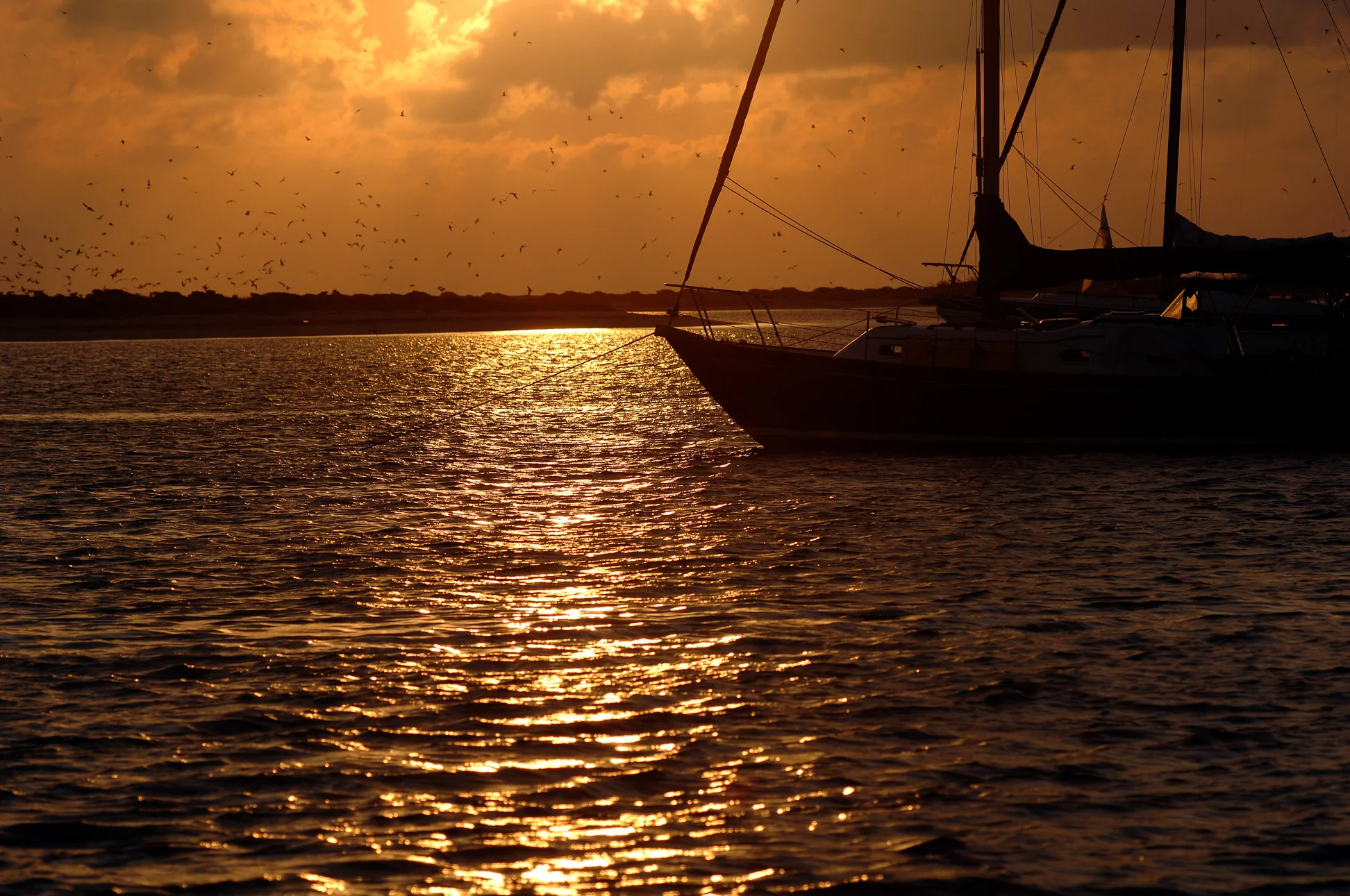 20080525-_DSC0484.jpg