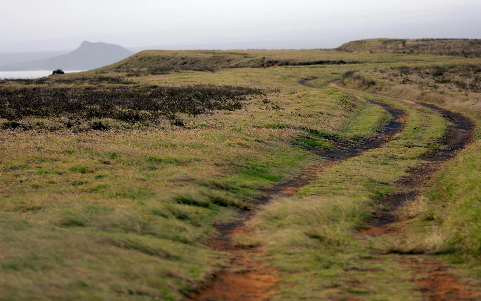 20090402-_DSC0624.jpg