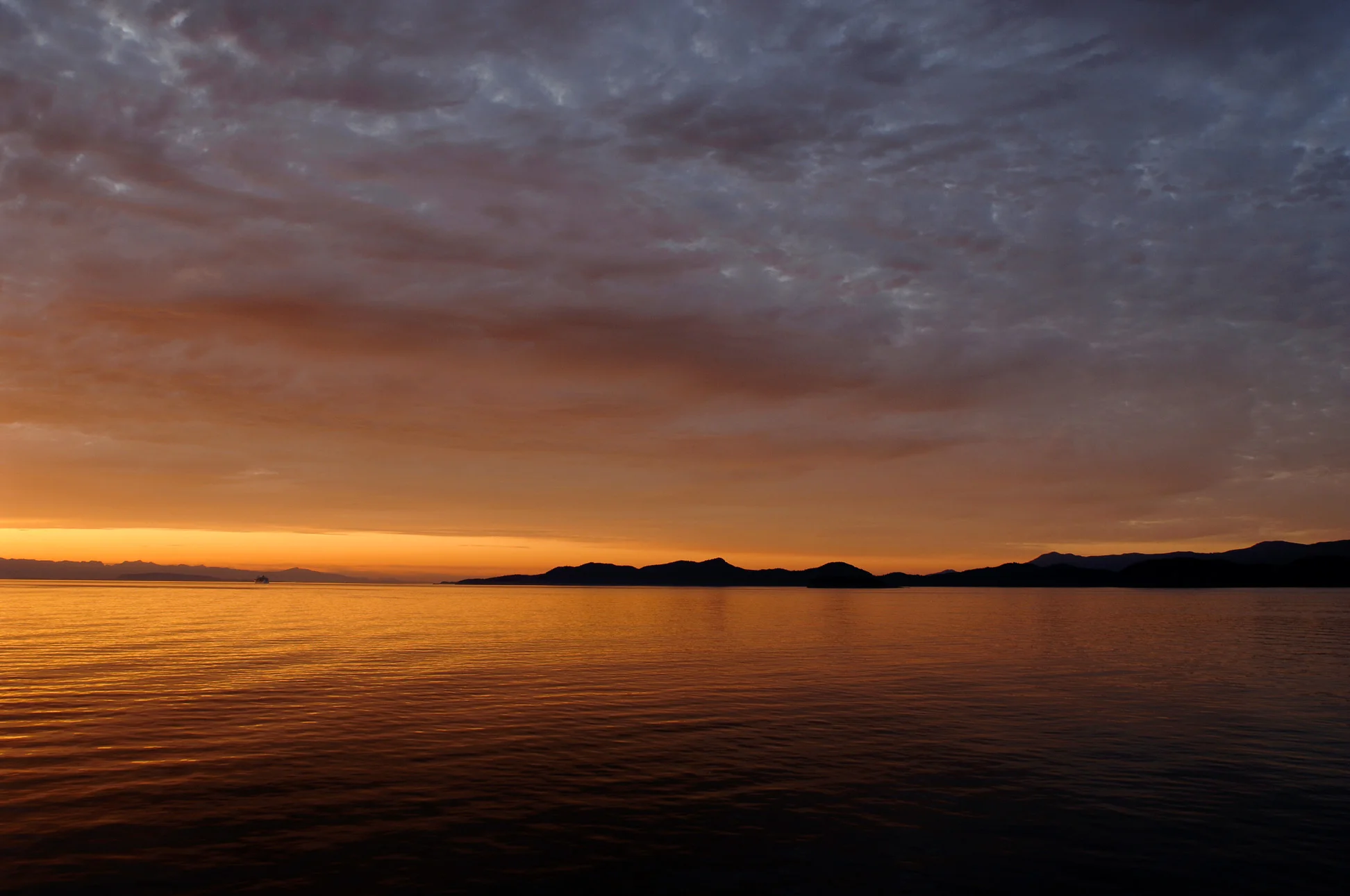 20090913-_DSC0324.jpg