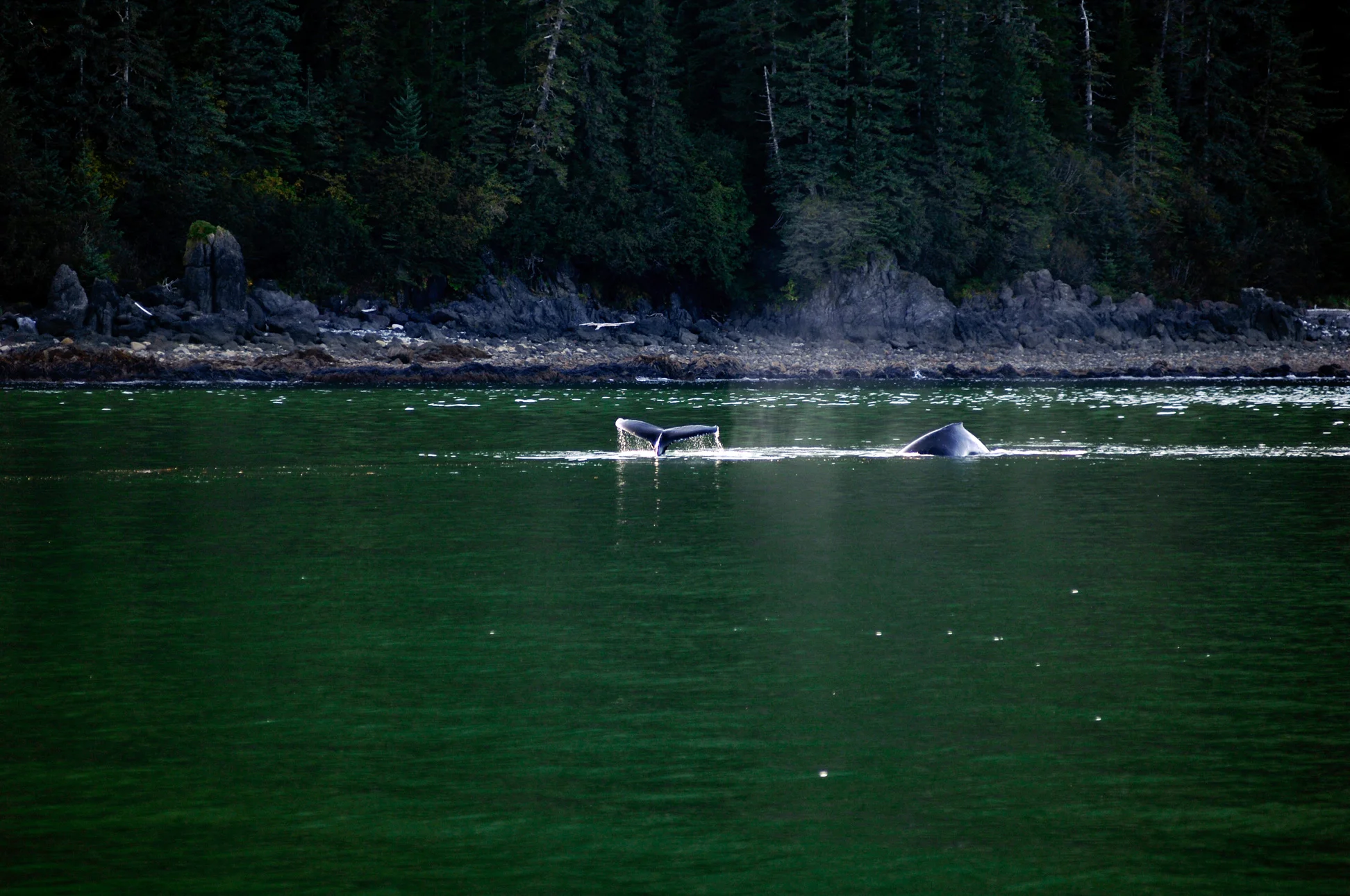 20090915-_DSC0097.jpg