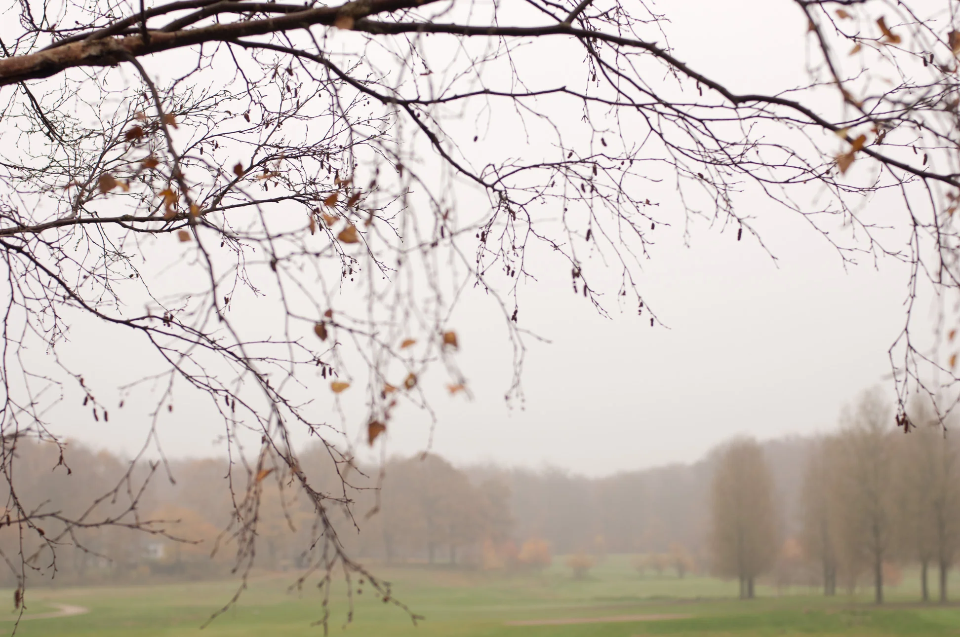 20111102-_BT10150.jpg