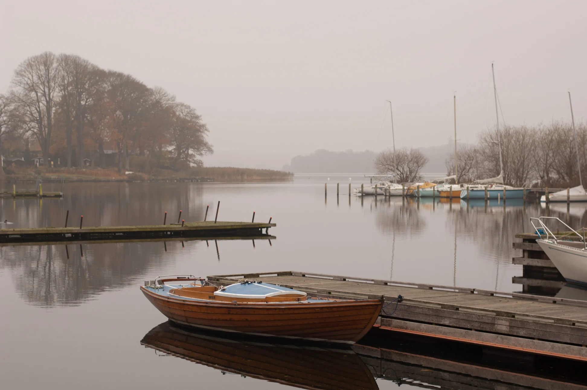 20111102-_BT10155.jpg