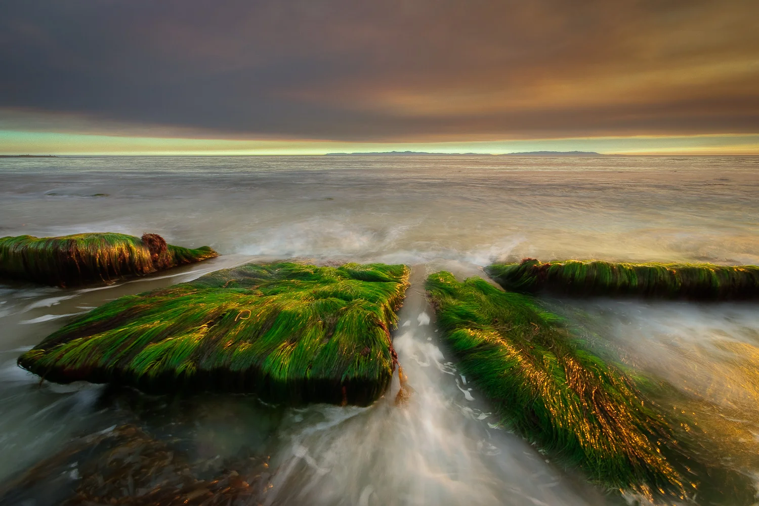 southbay (19 of 66).jpg