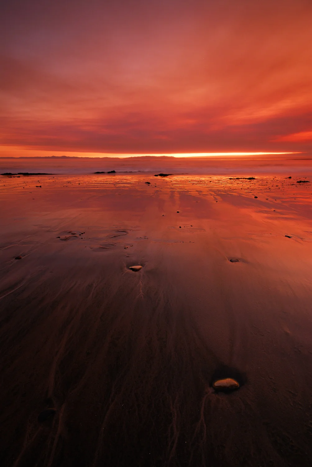 southbay (22 of 66).jpg