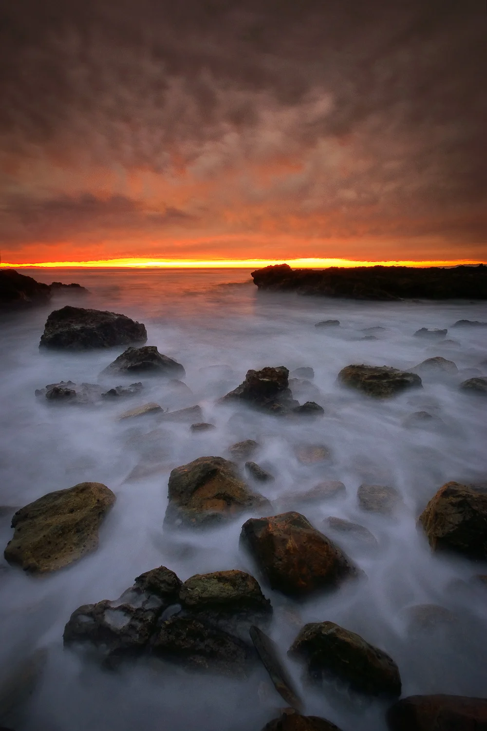southbay (30 of 66).jpg