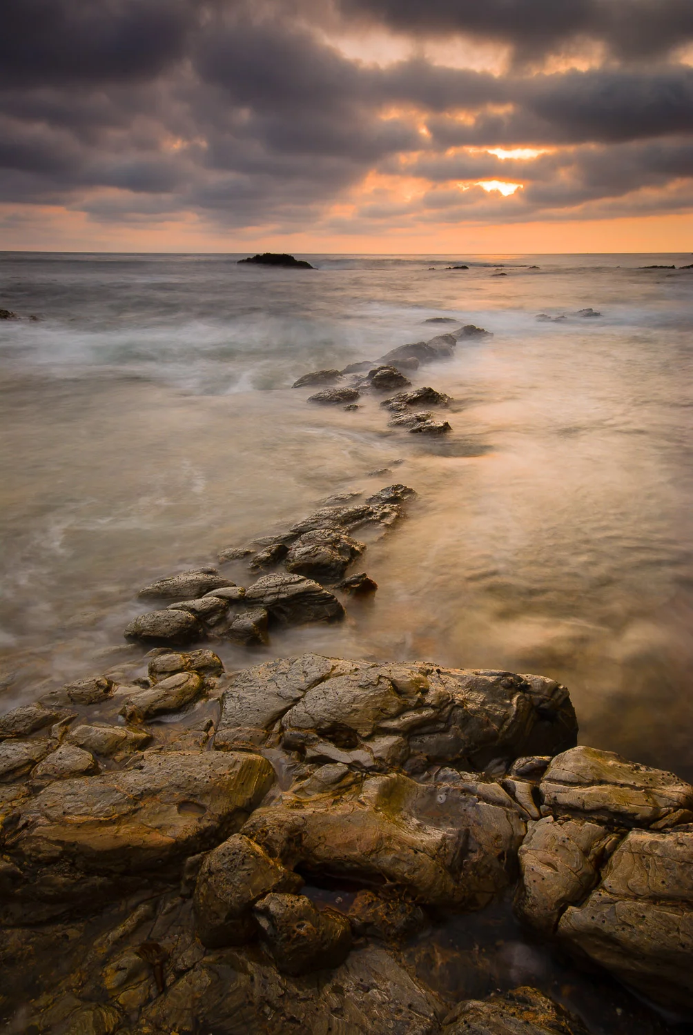 southbay (38 of 66).jpg