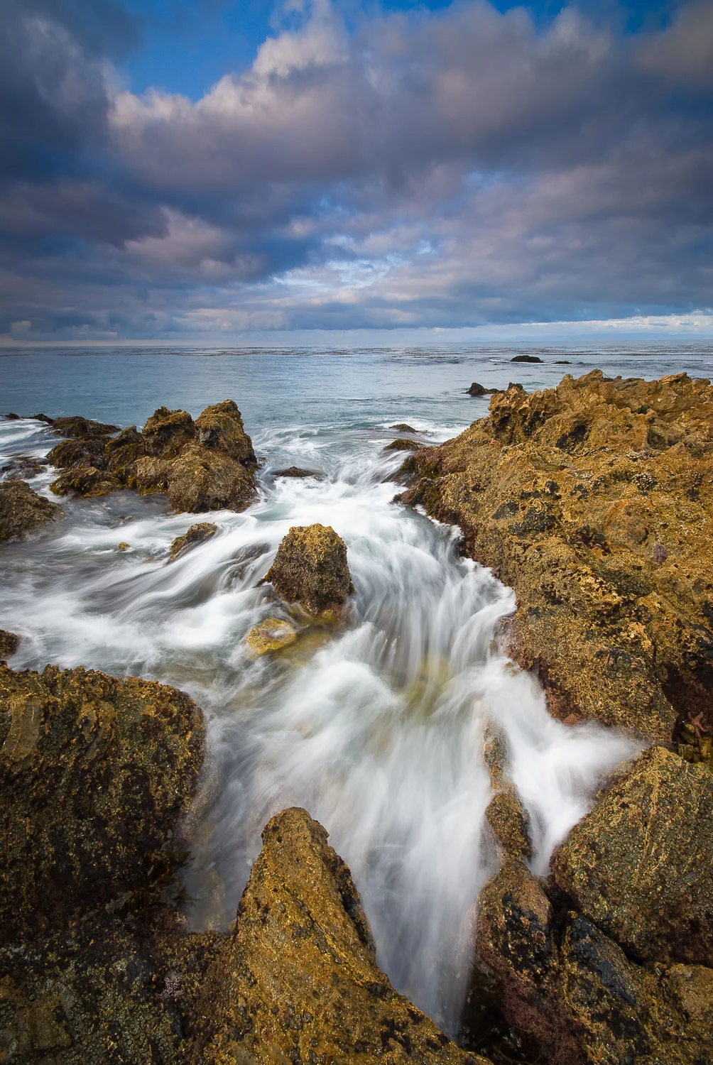 southbay (41 of 66).jpg