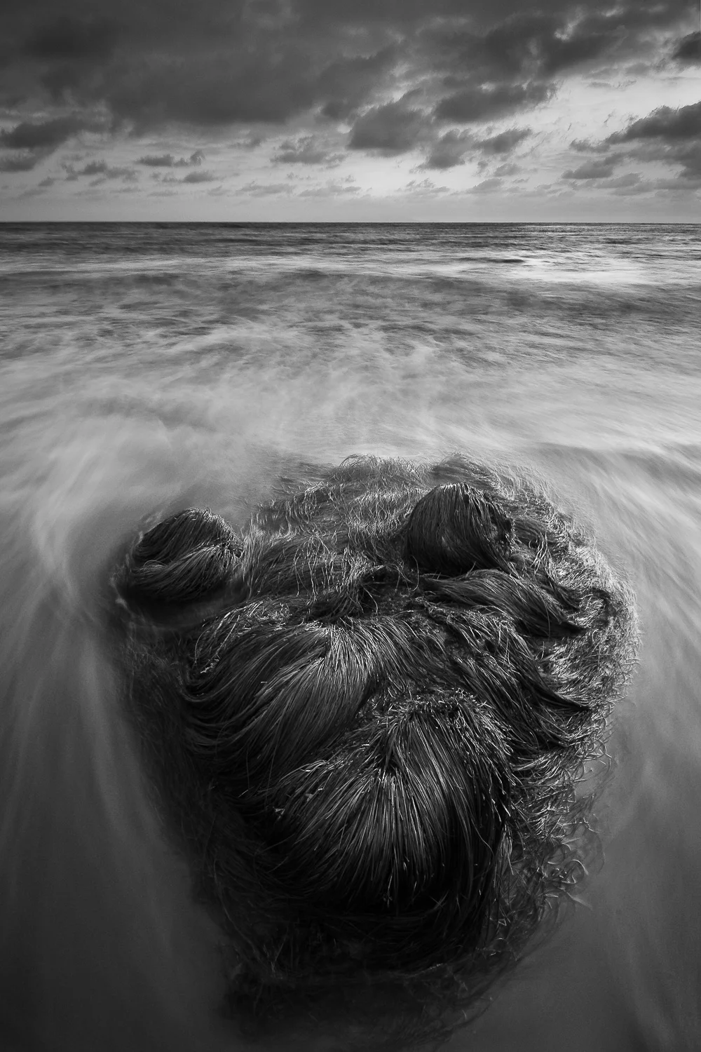 southbay (50 of 66).jpg