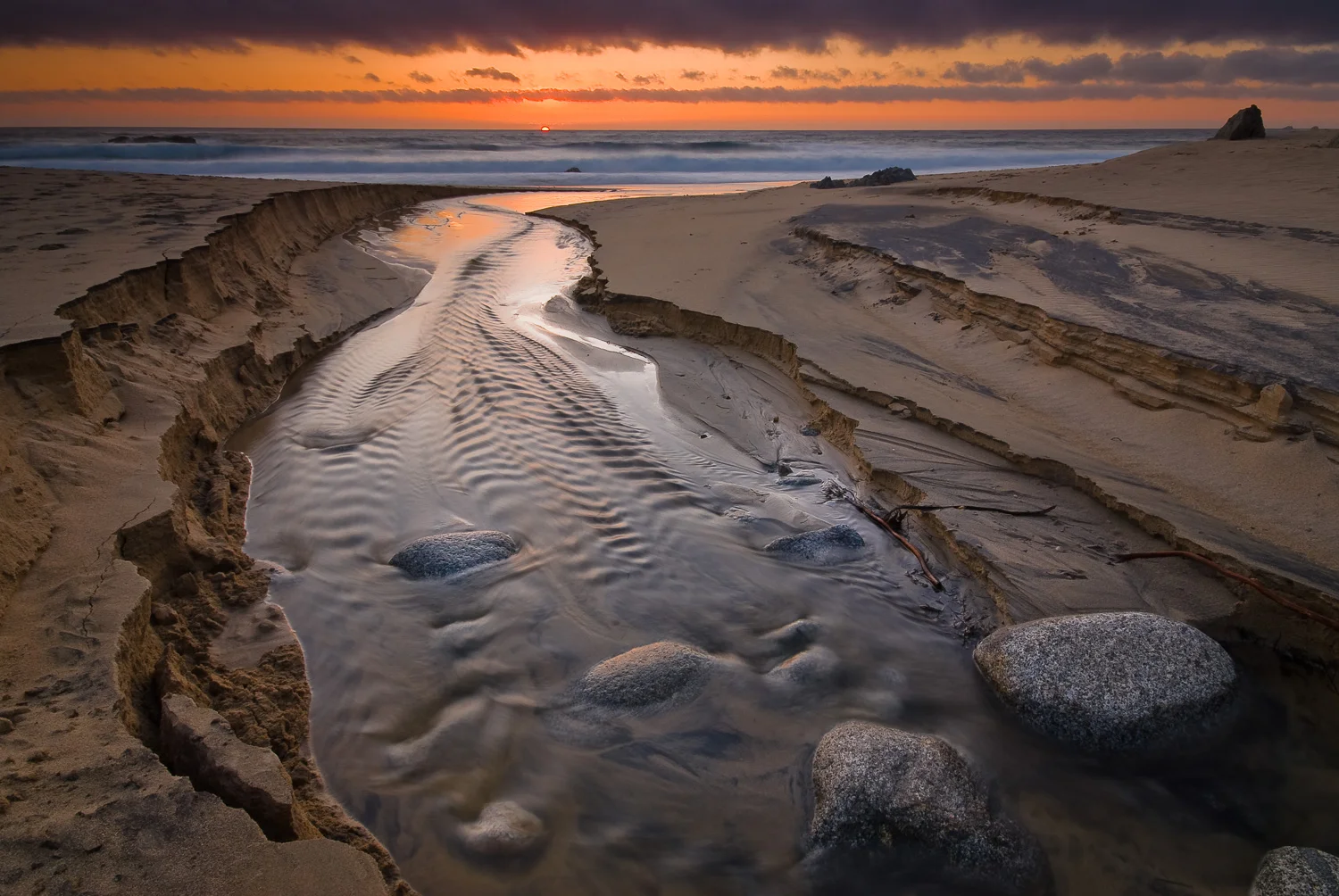 centralca (28 of 71).jpg