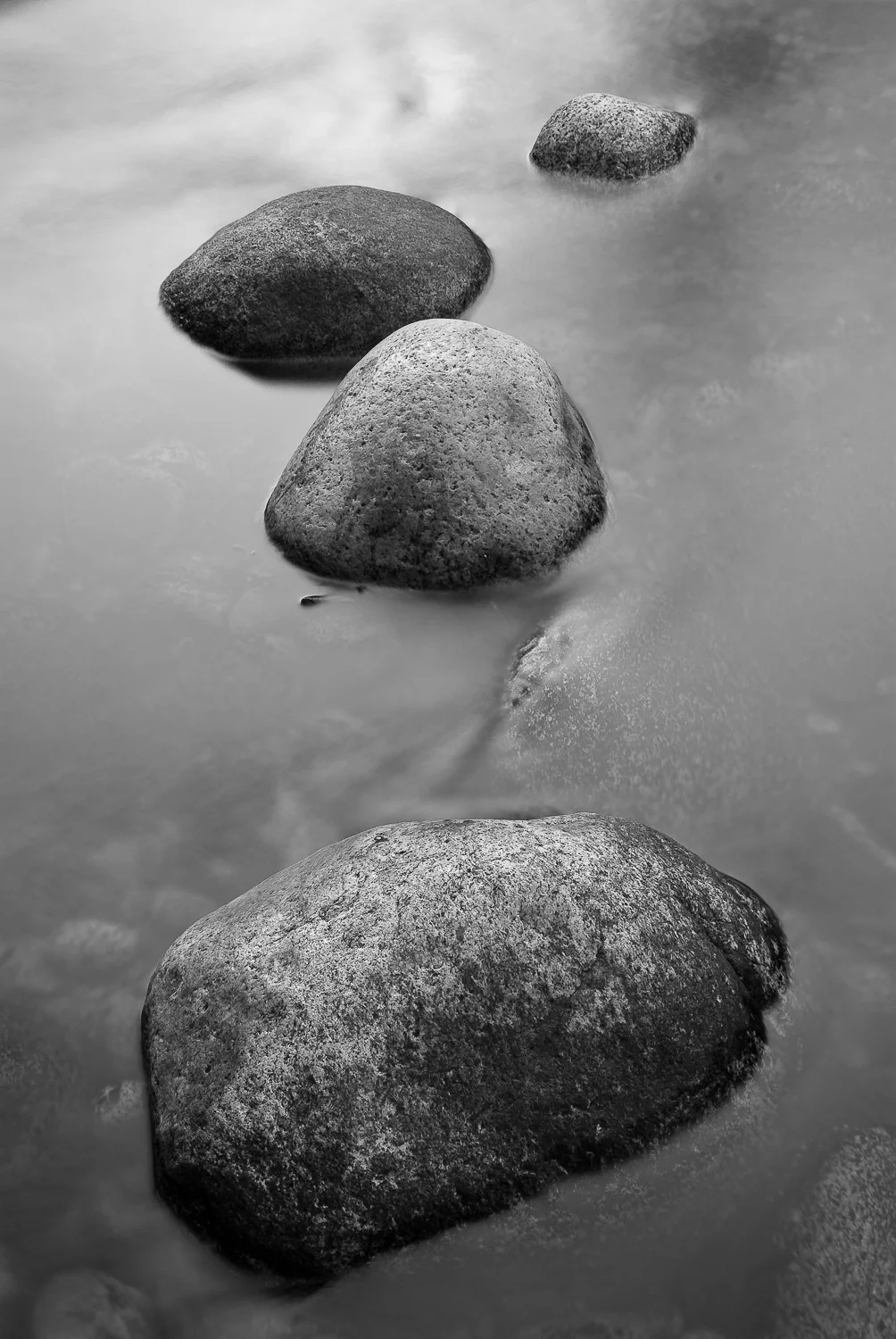 centralca (32 of 71).jpg