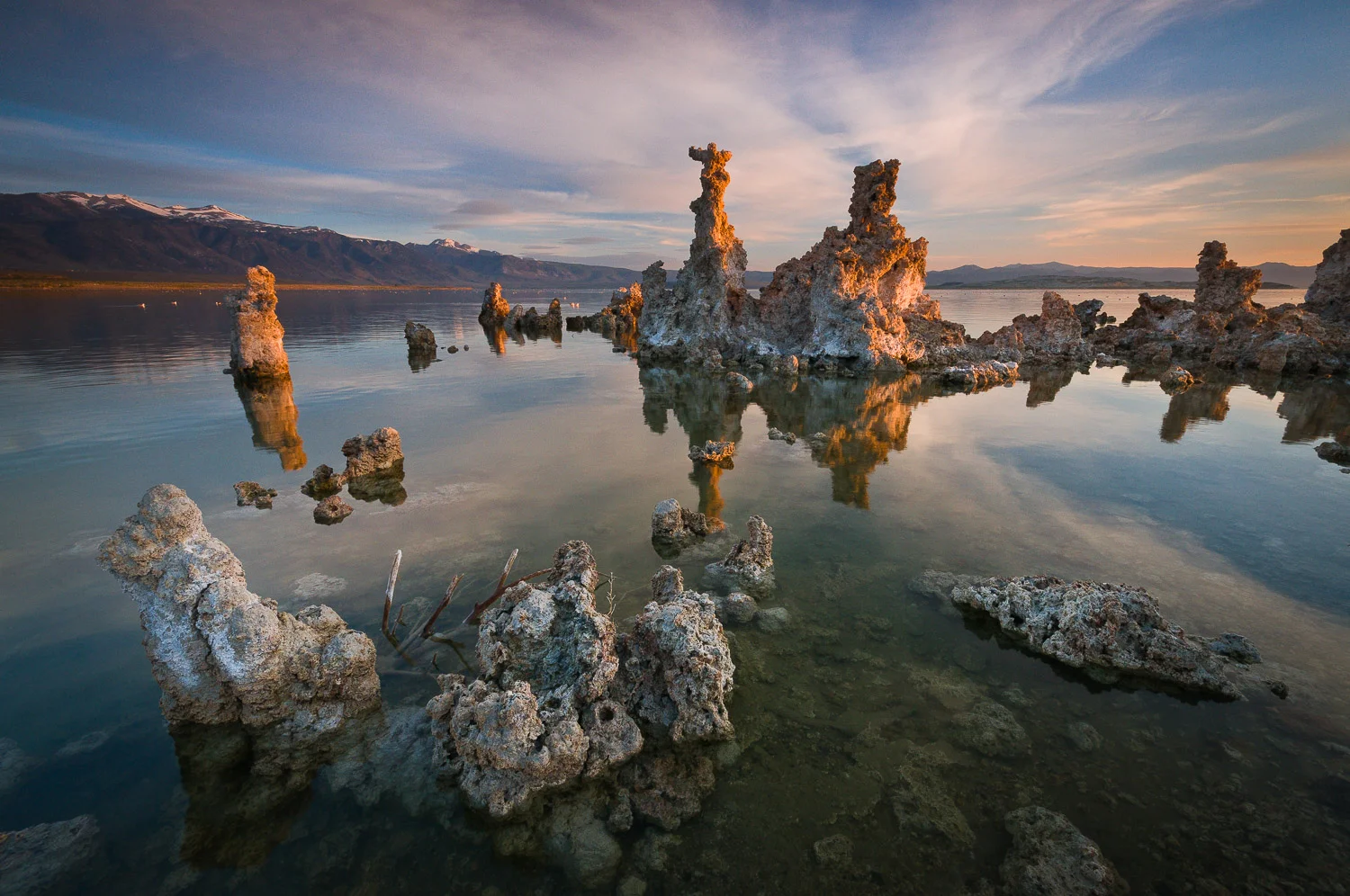 centralca (49 of 71).jpg