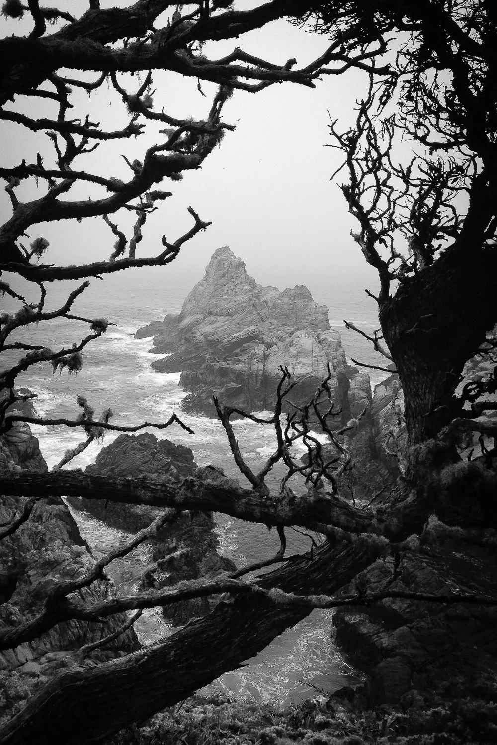 centralca (61 of 71).jpg