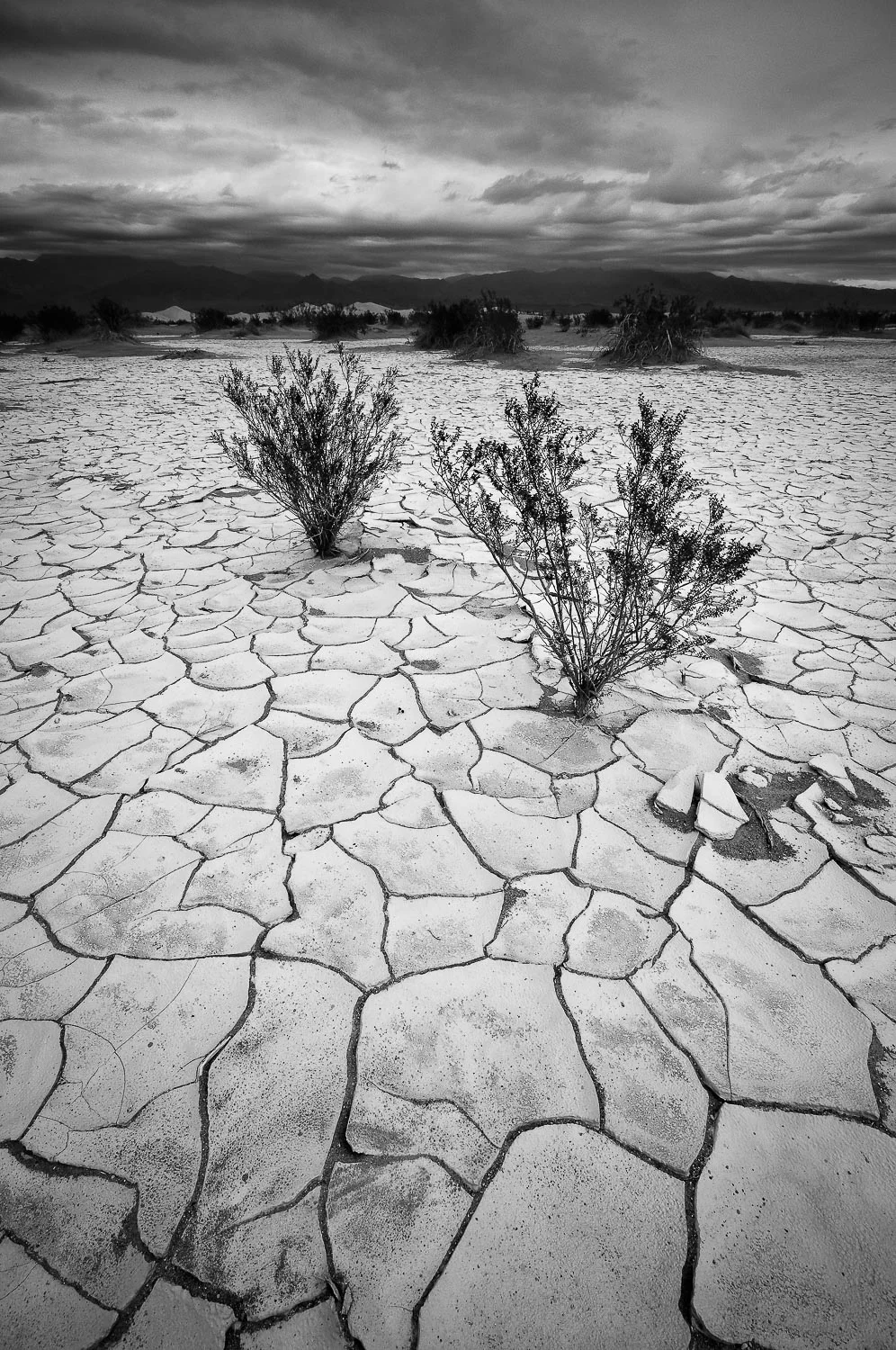 deathvalley (21 of 72).jpg