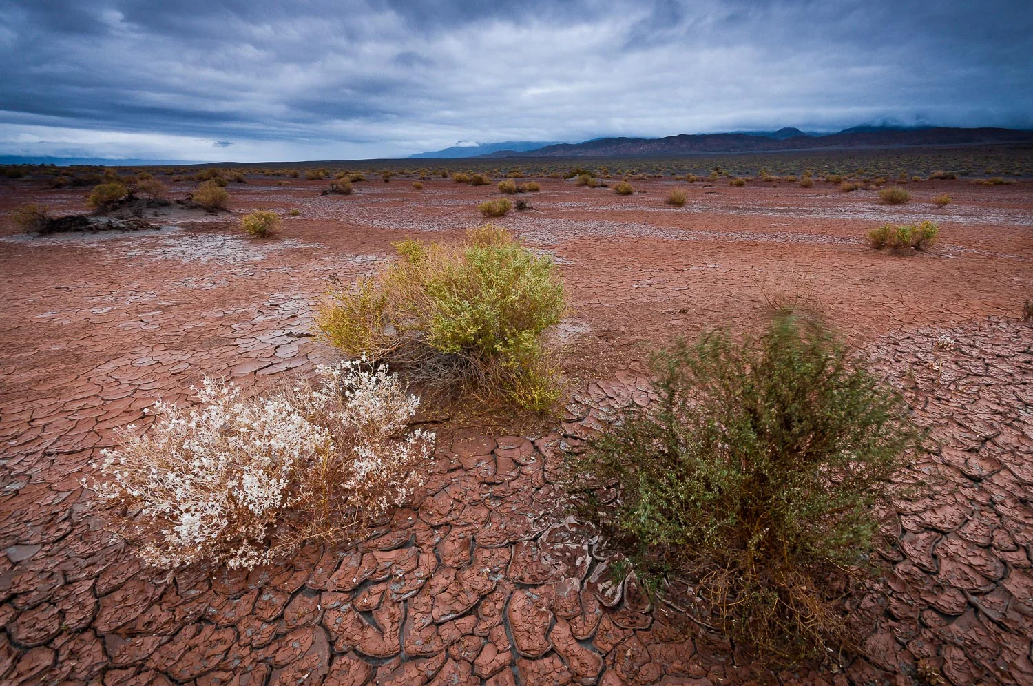 deathvalley (26 of 72).jpg
