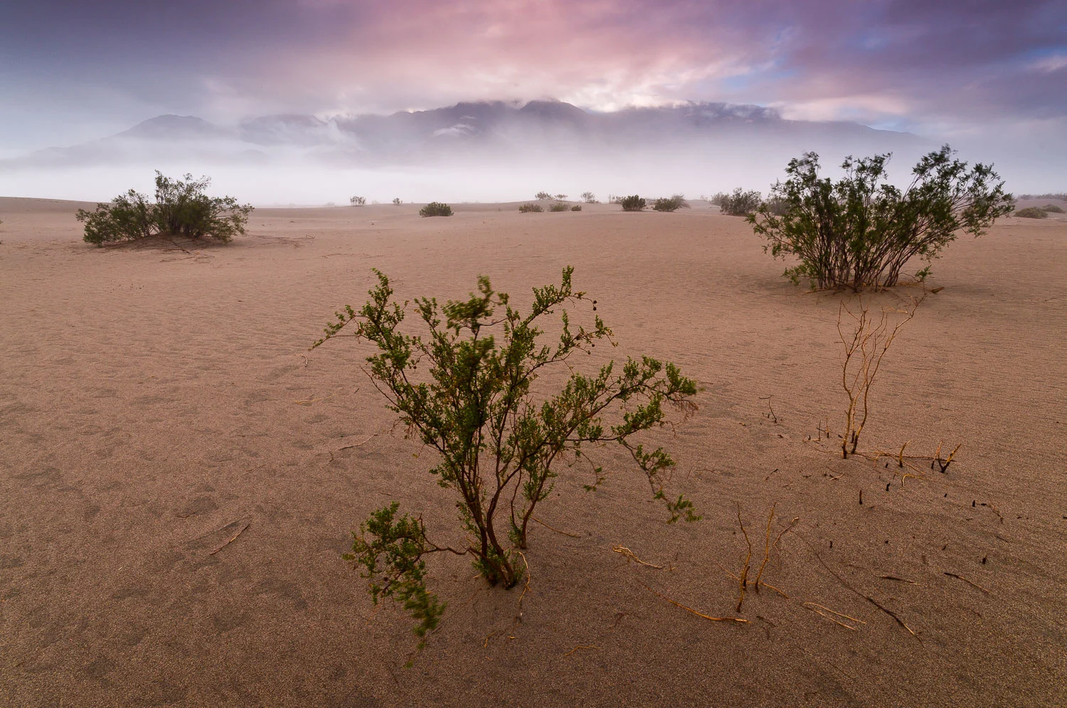 deathvalley (33 of 72).jpg