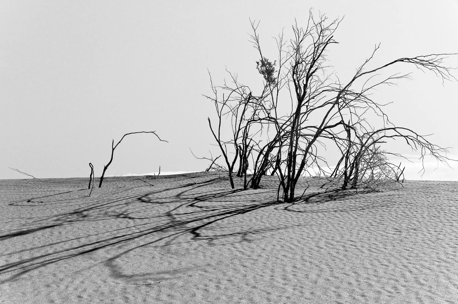 deathvalley (41 of 72).jpg