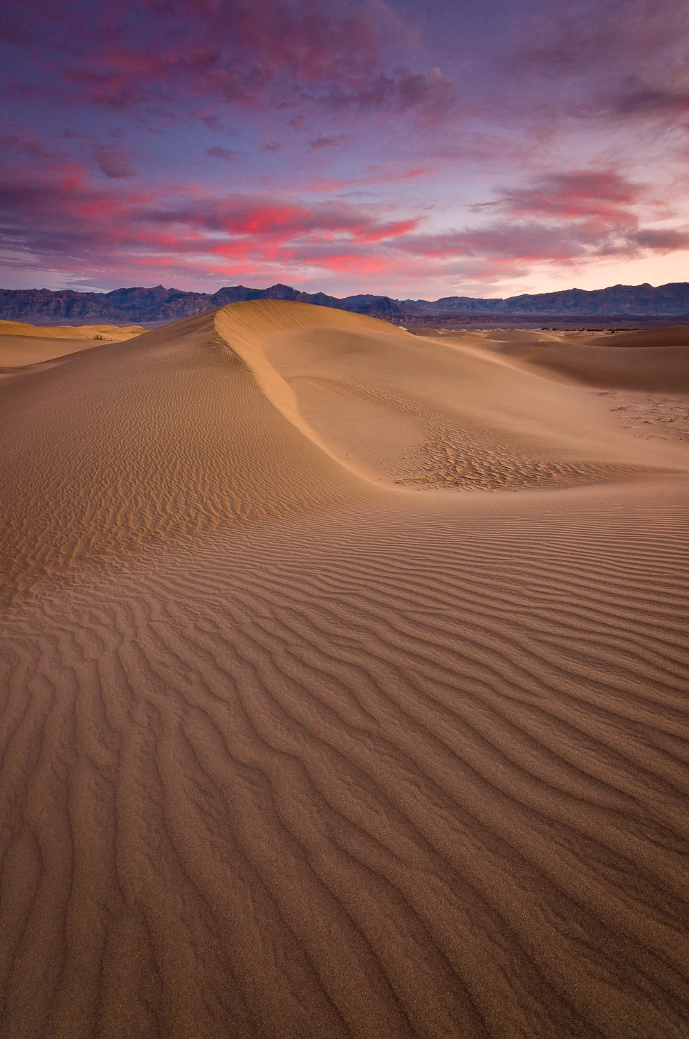 deathvalley (49 of 72).jpg