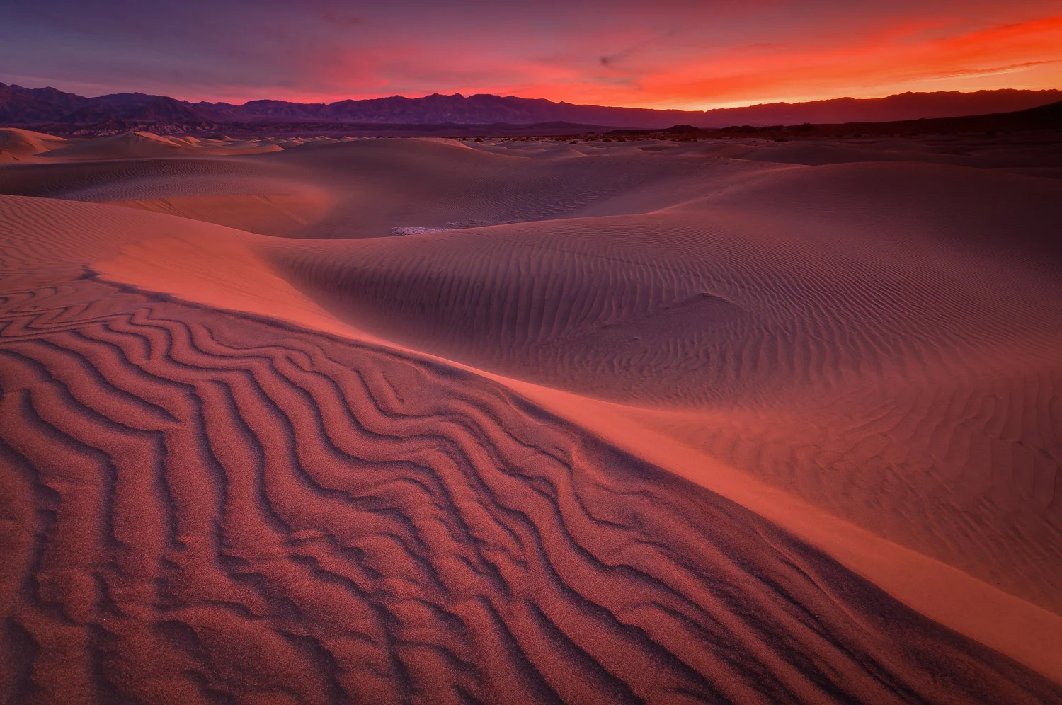 deathvalley (51 of 72).jpg