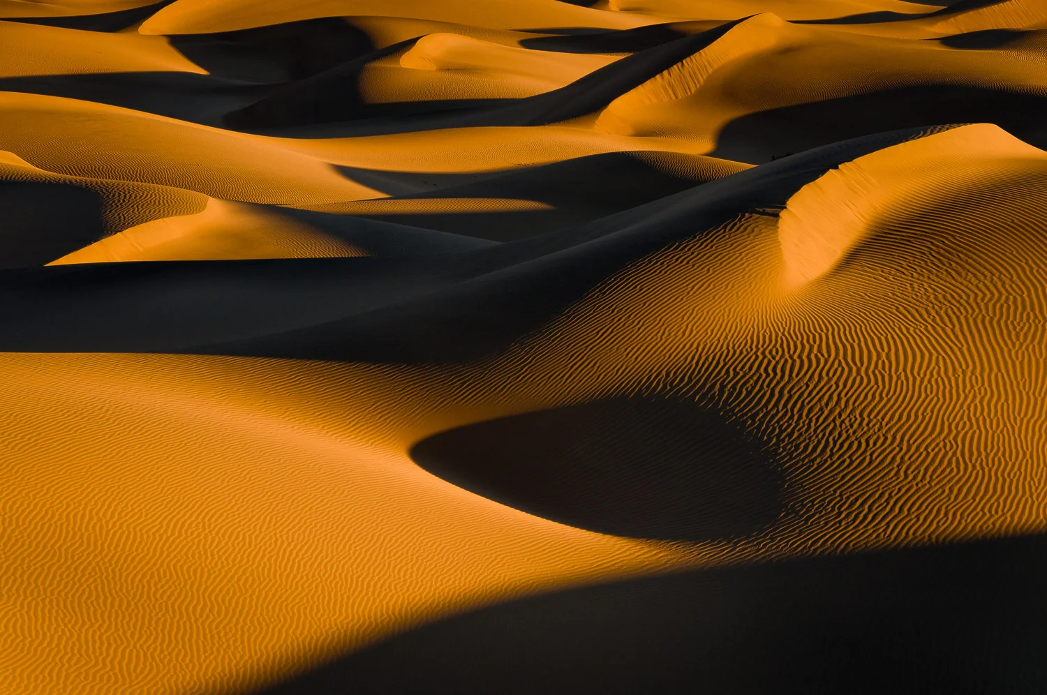 deathvalley (61 of 72).jpg