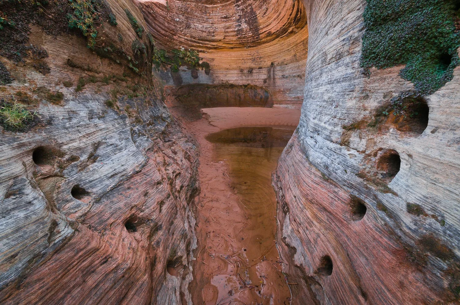 zion (18 of 61).jpg