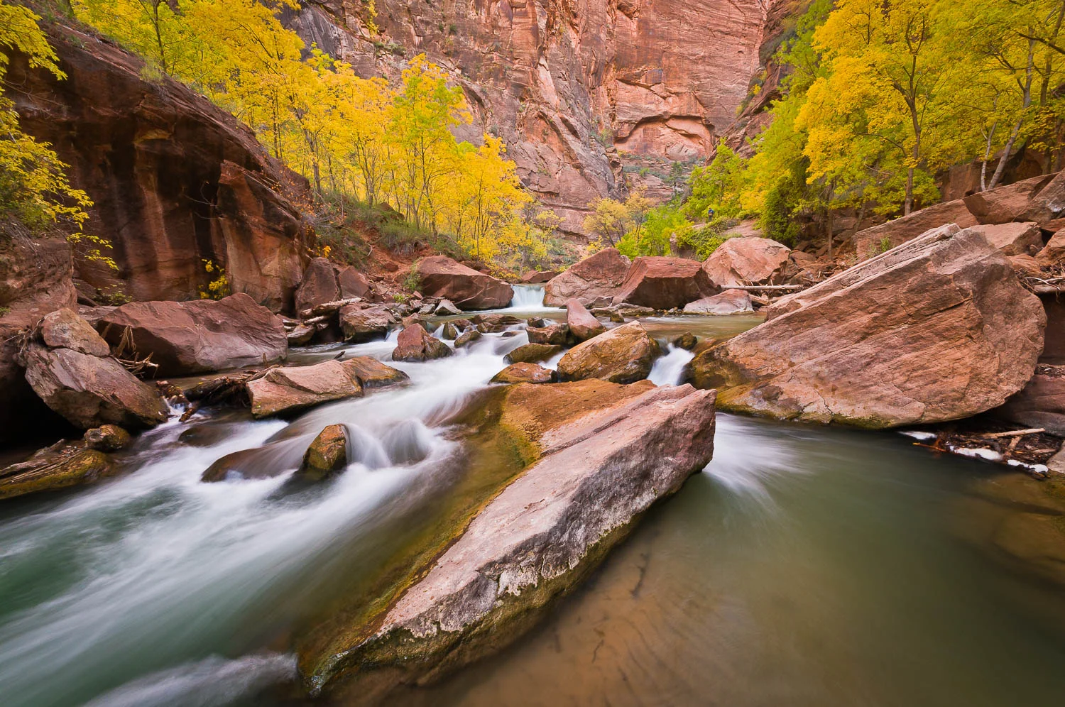 zion (26 of 61).jpg