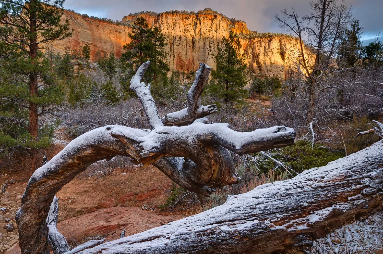zion (35 of 61).jpg
