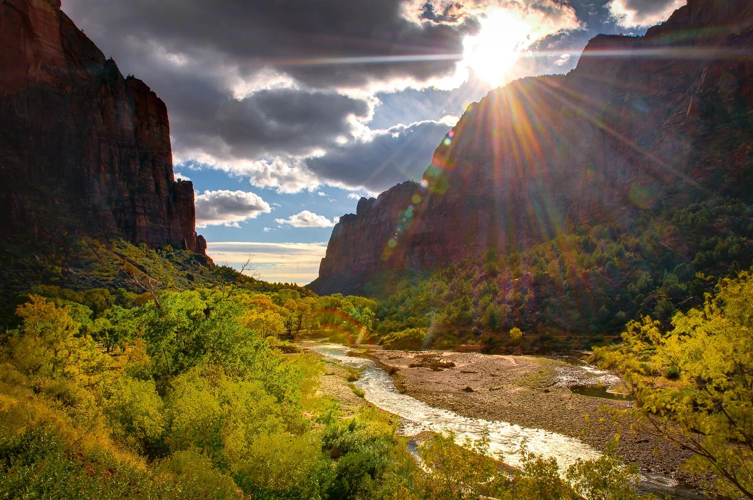 zion (40 of 61).jpg