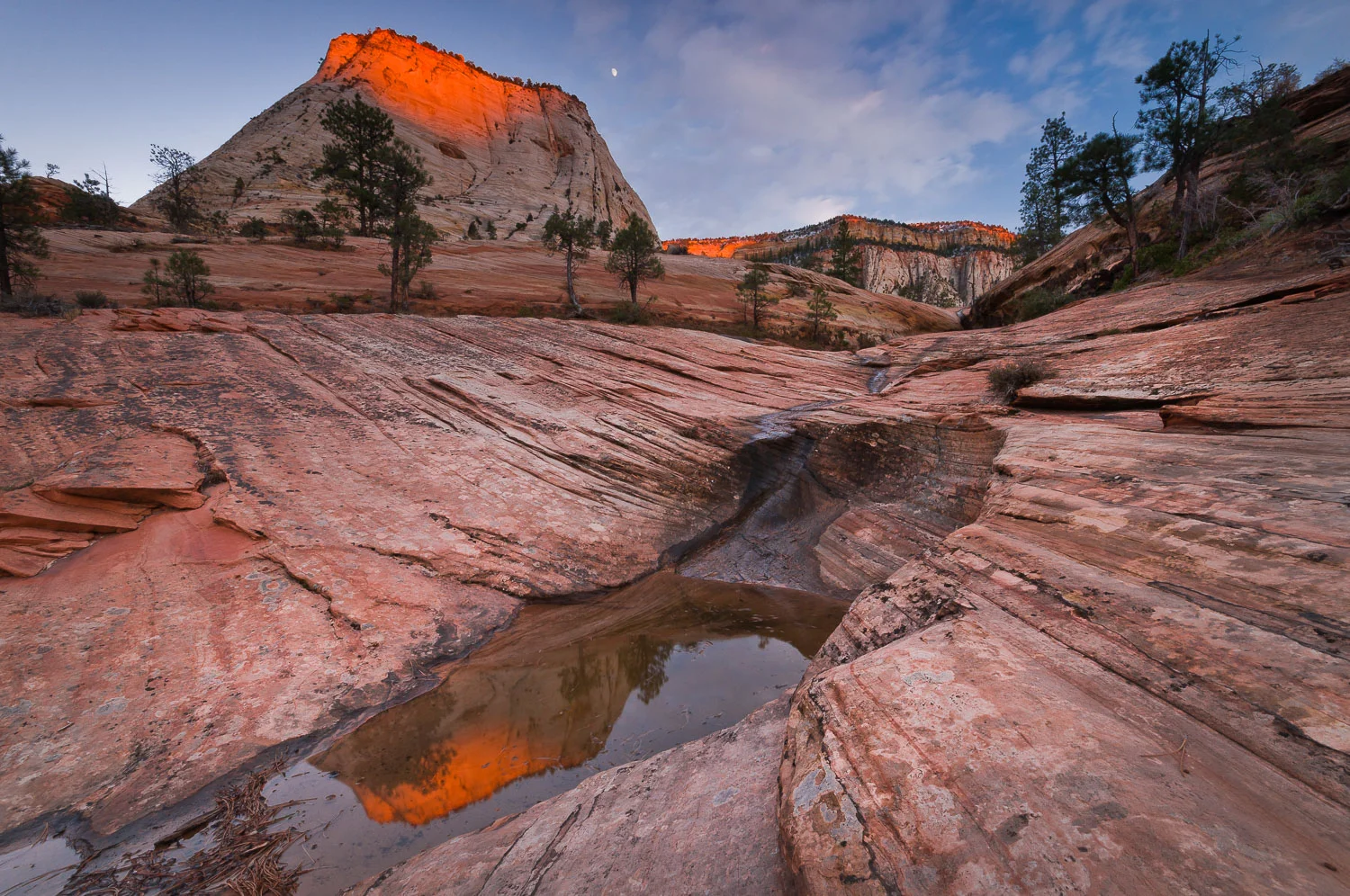 zion (41 of 61).jpg